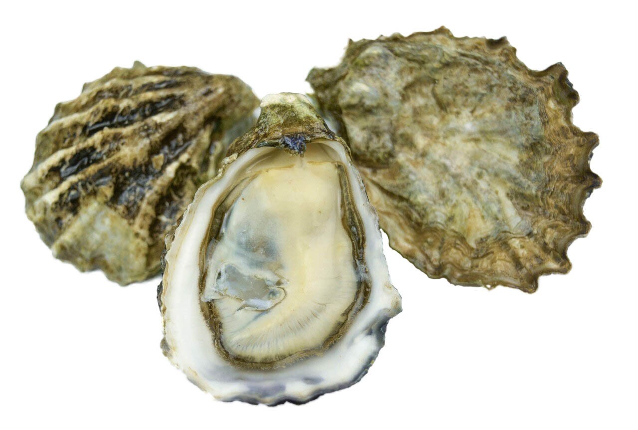 Oysters Kumamoto Dozen Princess Seafood Market & Restaurant